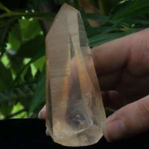  Golden Healer Lemurian Seed Crystal 