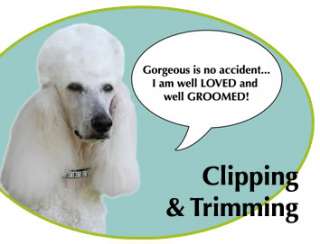 Grooming Supplies, Pet Care items in Dog Grooming Tools store on !