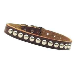   Leather Sturdy Dog Collar Size 14 (10 12 x 1/2): Pet Supplies