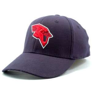  Saginaw Valley State University PC Hat: Sports & Outdoors