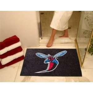   Delaware State Hornets All Star Welcome/Bath Mat Rug 34X45: Sports