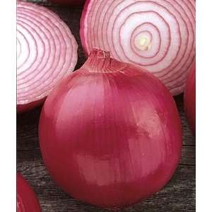  Onion, Red Delicious Hybrid 1 Pkt. (300 seeds) Patio 