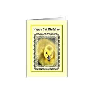    Happy 1st Birthday / Yellow Baby Gosling Card: Toys & Games