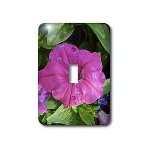 Florene Flowers   Dewey Pink   Light Switch Covers   single toggle 