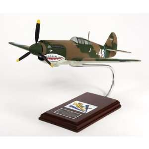 40E Warhawk 1/24 Scale WWII Metal Fighter and Ground attack Aircraft 