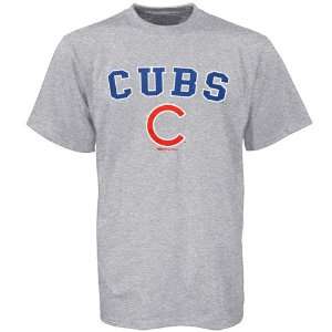 Chicago Cubs Ash Youth Team Logo Authentic T shirt  Sports 