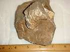 Fossil Ammonite Didymoceras Parts, Imprints or Both Pie