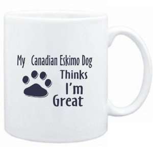    MY Canadian Eskimo Dog THINKS I AM GREAT  Dogs