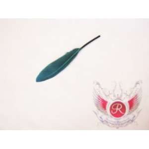  Indy Rock Hair Extension Feathers (Teal): Beauty