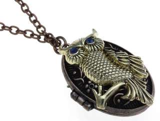 Owl Locket Necklace 30 Inches Long  