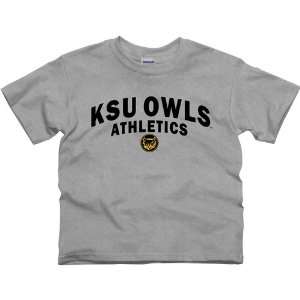  Kennesaw State Owls Youth Athletics T Shirt   Ash: Sports 