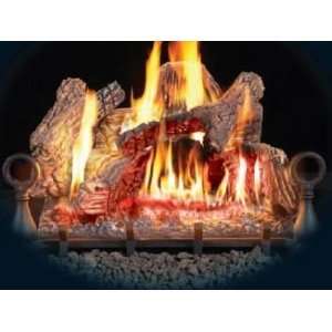  Napolean Fireplaces GL24N 24 in. Remote Ready Natural Gas 