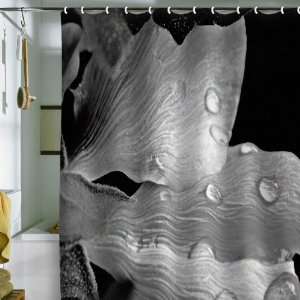    Shower Curtain Porcelain Rain (by DENY Designs)