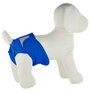  PlayaPup Dog Diaper for Incontinence/House Training, Large 