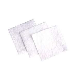  FPO Nail Wipes 2x2 325 ct. Beauty