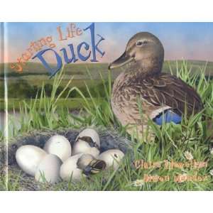  Starting Life: Duck [Hardcover]: Claire Llewellyn: Books