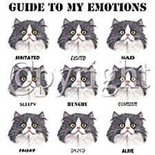 Funny Cat T Shirt Guide To My Emotions T Shirt S,M,L,XL  