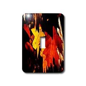 com Yves Creations Colorful Leaves   Yellow and Orange Autumn Leaves 