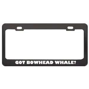 Got Bowhead Whale? Animals Pets Black Metal License Plate Frame Holder 