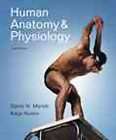  & Physiology/ A Brief Atlas of the Human Body by Matt Hutchinson 