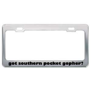 Got Southern Pocket Gopher? Animals Pets Metal License Plate Frame 