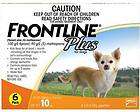 Frontline Plus   Small Dog up to 10kgs   6 month pack
