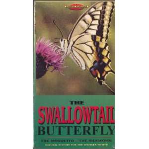    Animal Families The Swallowtail Butterfly [VHS] Movies & TV