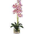 Vases Silk Plants  Overstock Buy Decorative Accessories Online 