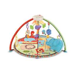 Fisher Price Luv U Zoo Deluxe Musical Mobile Gym  
