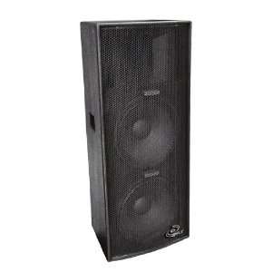   Dual 10 Inch Heavy Duty 3 Way Speaker Cabinet: Musical Instruments