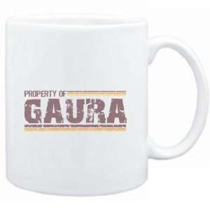  Mug White  Property of Gaura   Vintage  Female Names 