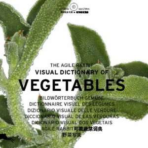  Rabbit Visual Dictionary of Vegetables [With CDROM] (Agile Rabbit 