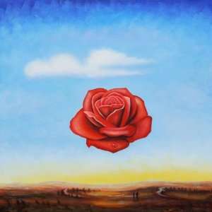   : The Meditative Rose   Square 24 X 24   Hand Painted Canvas Art