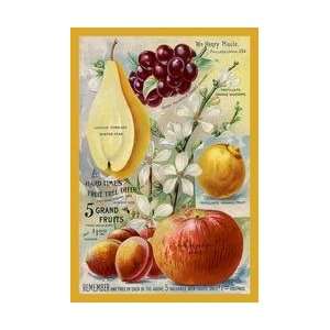 Grand Fruits 12x18 Giclee on canvas 