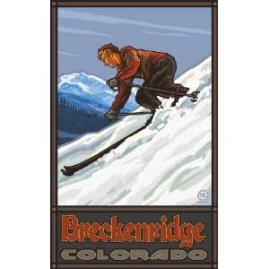  Northwest Art Mall Breckenridge Colorado Downhill Skier 