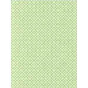  Lattice Green Wallpaper in Kitchen Style