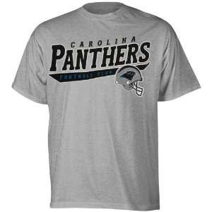  Carolina Panthers Grey The Call Is Tails T Shirt Sports 