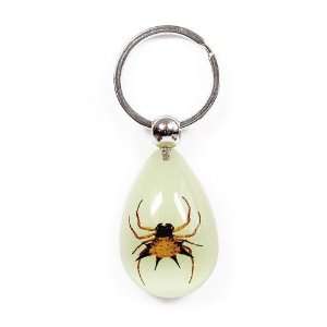   Real Bug Key Chain Tear Drop Shape Glow in the Dark Spiny Spider: Home