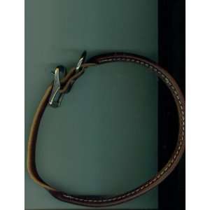   on the end of Brown Leather Dog Collar. metal clasp.: Everything Else