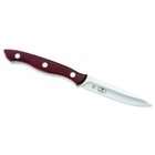Buck Knives Kitchen 4 Inch Cutlery Paring Knife with Cabernet 
