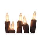 Sienna Set of 10 Battery Operated Clear Mini Christmas Lights  Brown 