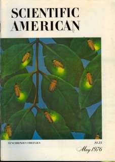 1976 Scientific American Magazine Synchronous Firefly  