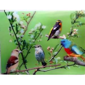   Print Paint Picture   Birds Perched on Branches: Home & Kitchen