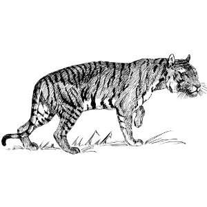   Pack of 12 Parchment Gift Tags Line Drawing Tiger 1