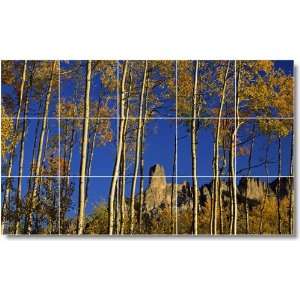 National Park Picture Ceramic Tile Mural N010  24x40 using (15) 8x8 