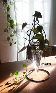 NEW Glass & Metal Hanging Plant Rooter Tabletop or Wall  