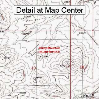 USGS Topographic Quadrangle Map   Bailey Mountain, Nevada (Folded 