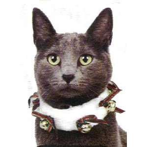 Pet Costume  Furry Jingle Collar  Cat   PET 42950  Kitchen 