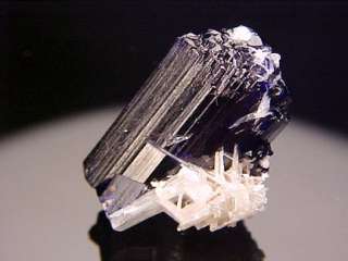 SUPERB Azurite & Cerussite Crystal TIGER, ARIZONA  