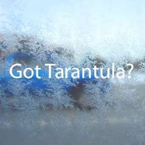  Got Tarantula? White Decal Spider Pet Animal Car White 